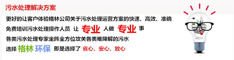 武漢格林環(huán)保設(shè)施運(yùn)營(yíng)有限責(zé)任公司  污水處理運(yùn)營(yíng)模式   工業(yè)污水處理  生活污水處理  